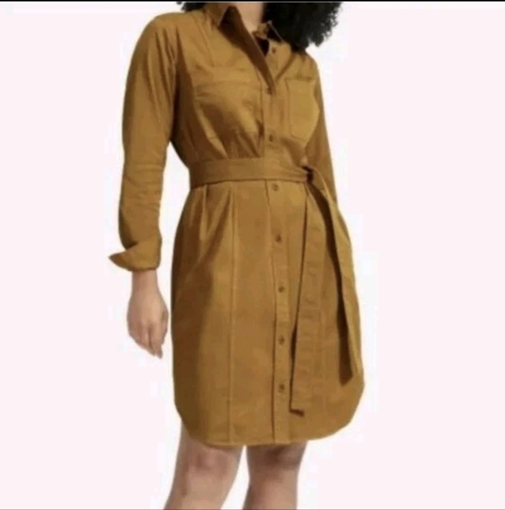 Everlane modern utility shirtdress